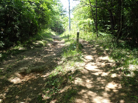 e0293913_10585975.jpg