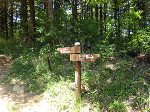 e0293913_10592362.jpg