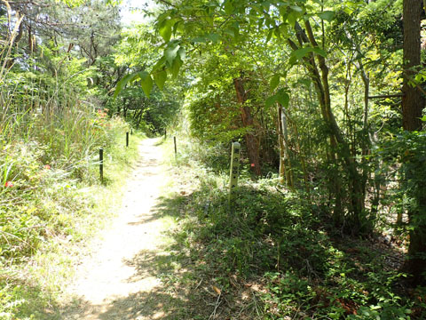 e0293913_1103531.jpg