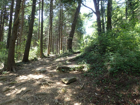 e0293913_110394.jpg