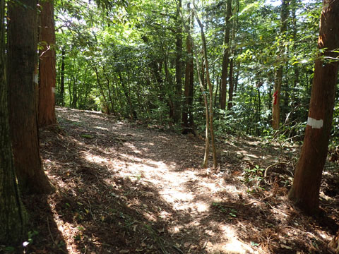 e0293913_1110232.jpg