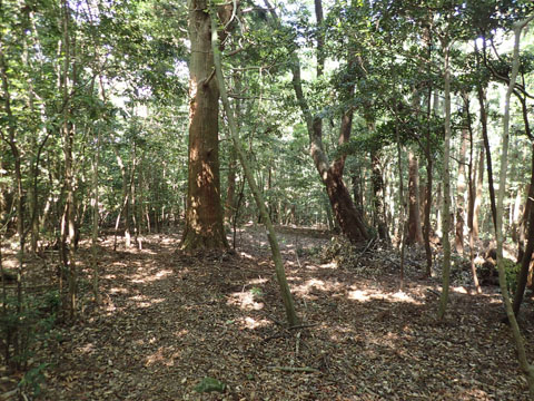 e0293913_1111031.jpg