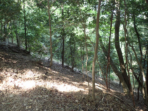 e0293913_11153278.jpg