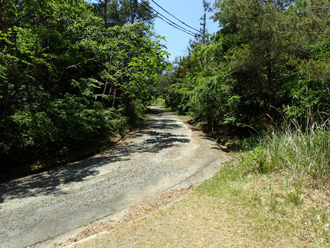 e0293913_111554.jpg