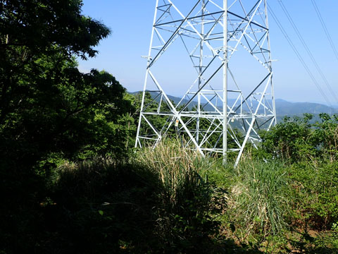 e0293913_1116864.jpg