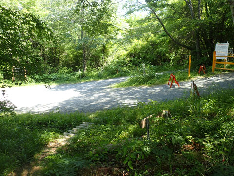 e0293913_11175163.jpg
