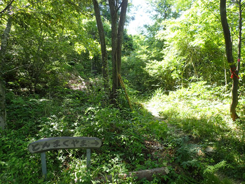 e0293913_11182545.jpg
