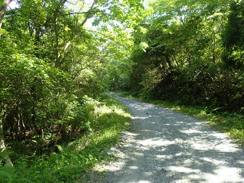 e0293913_11185673.jpg
