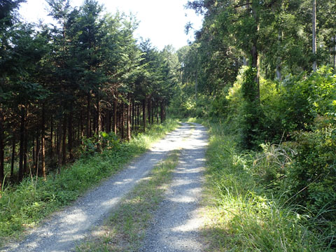 e0293913_1120014.jpg