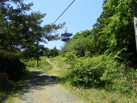 e0293913_112209.jpg