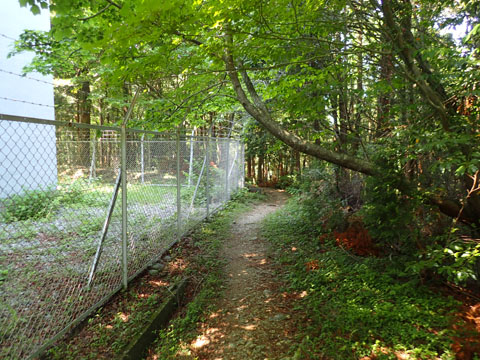 e0293913_119251.jpg