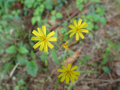 e0293913_23461256.jpg