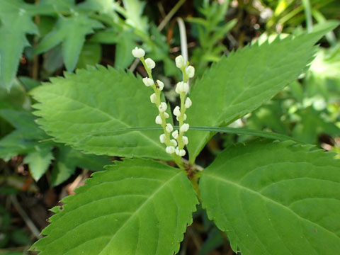 e0293913_23472090.jpg