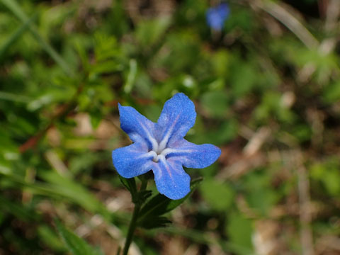 e0293913_23473798.jpg