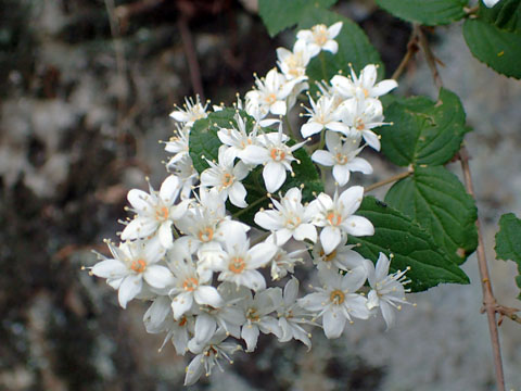 e0293913_23483438.jpg