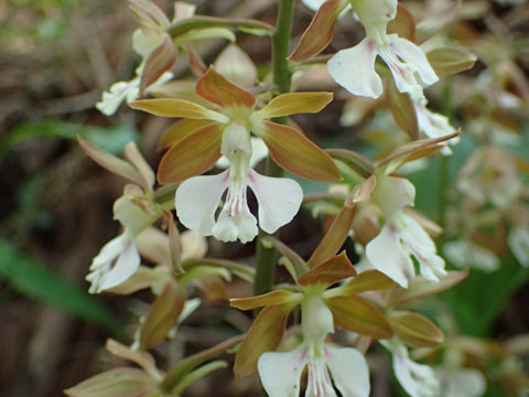 e0293913_23492027.jpg