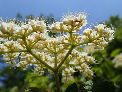 e0293913_23493897.jpg