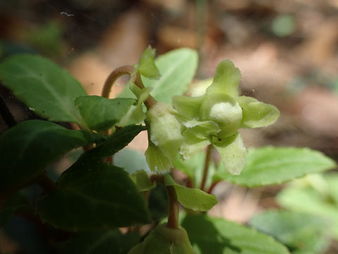 e0293913_23502663.jpg