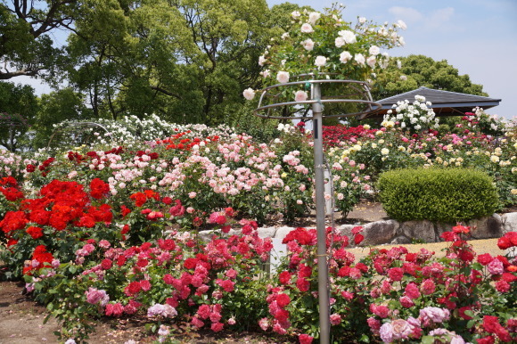 c0020320_13522025.jpg