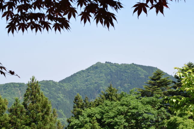 a0354332_17442193.jpg