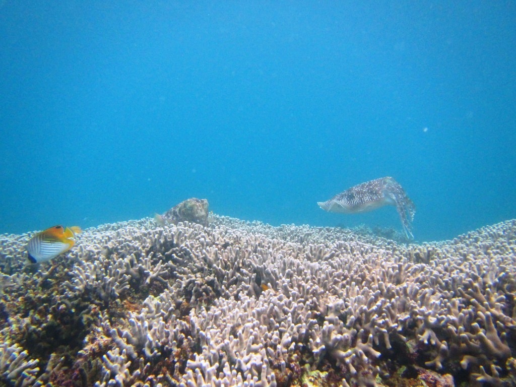すごい写真です\(^o^)/_a0189838_20282326.jpg