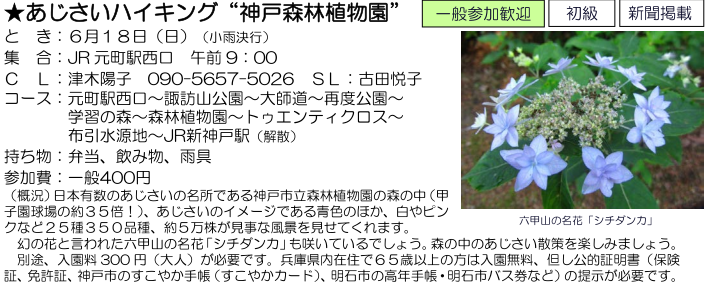 e0371039_21261813.png