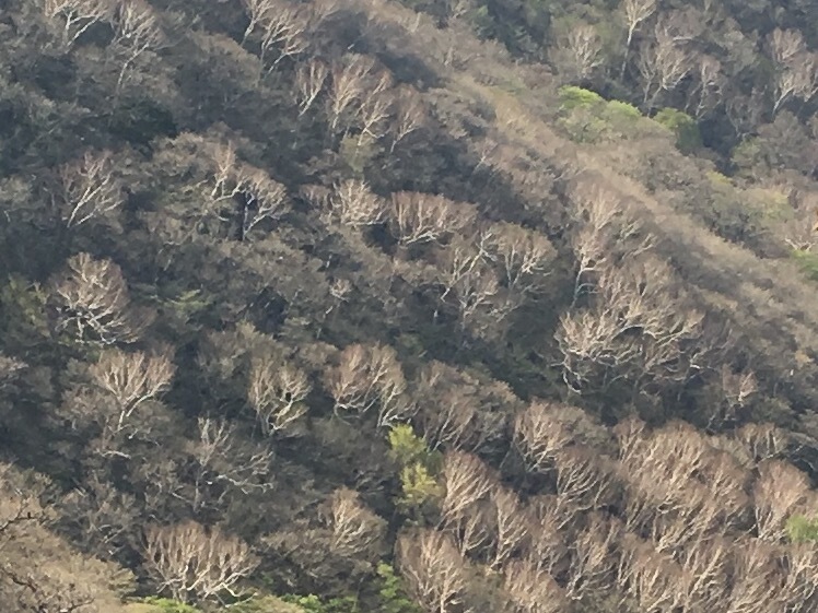 b0330040_20425029.jpg