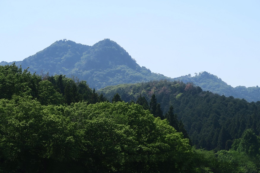 d0333943_17590030.jpg
