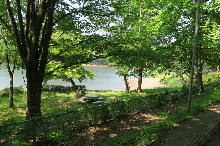 d0333943_18002850.jpg