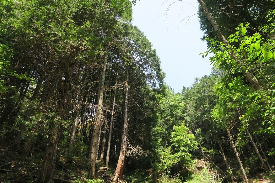d0333943_18034214.jpg