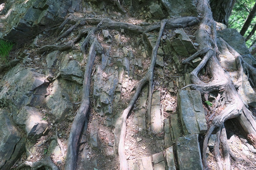 d0333943_18090713.jpg