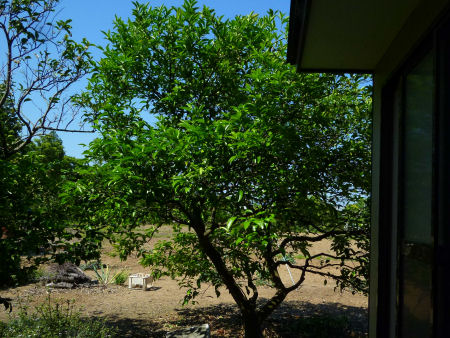 b0002549_10361546.jpg