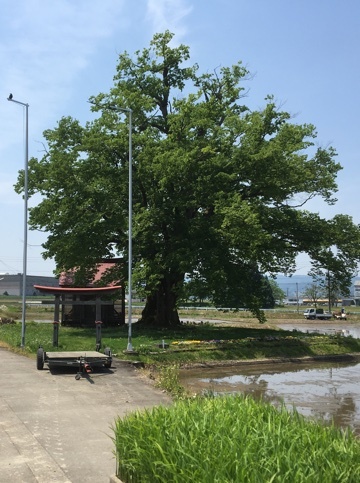 a0346455_06011906.jpg
