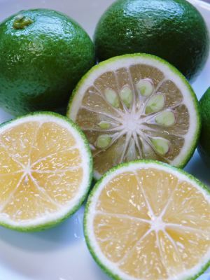 種なしかぼす 今年も無農薬・無化学肥料で育てる『種無しかぼす』の花の様子を現地取材!_a0254656_17300035.jpg