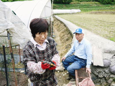 種なしかぼす　今年も無農薬・無化学肥料で育てる『種無しかぼす』の花の様子を現地取材！_a0254656_18001707.jpg