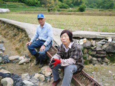 種なしかぼす 今年も無農薬・無化学肥料で育てる『種無しかぼす』の花の様子を現地取材!_a0254656_18213069.jpg