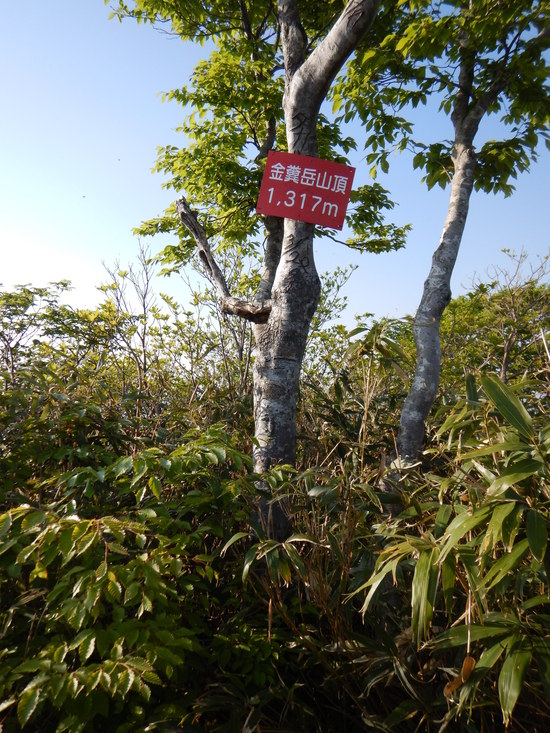 d0231858_10545430.jpg