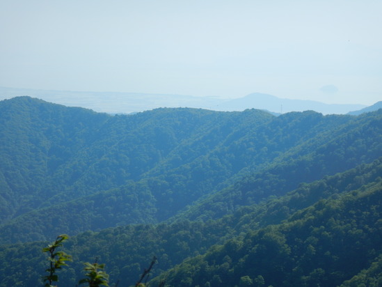 d0231858_10591945.jpg