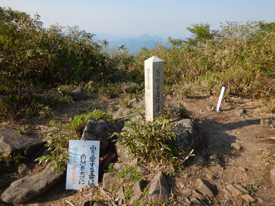 d0231858_1084381.jpg