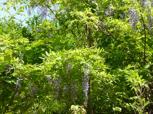d0231858_1229817.jpg
