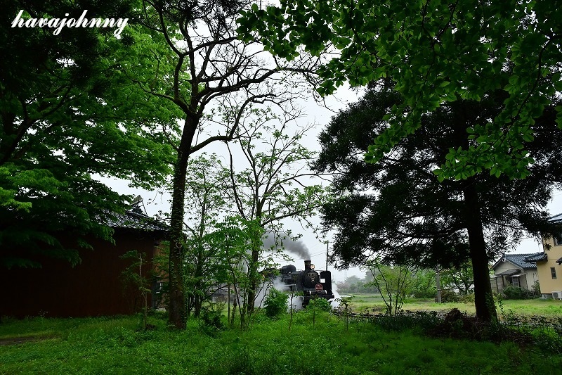 c0173762_20152300.jpg