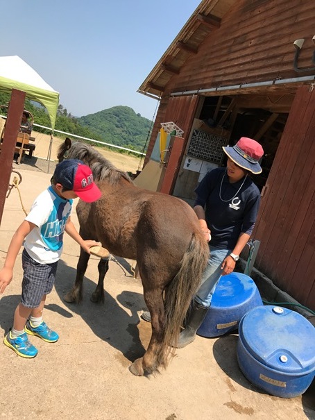 やさしい気持ちになれる場所、空山ポニー牧場。_f0009169_08471536.jpg