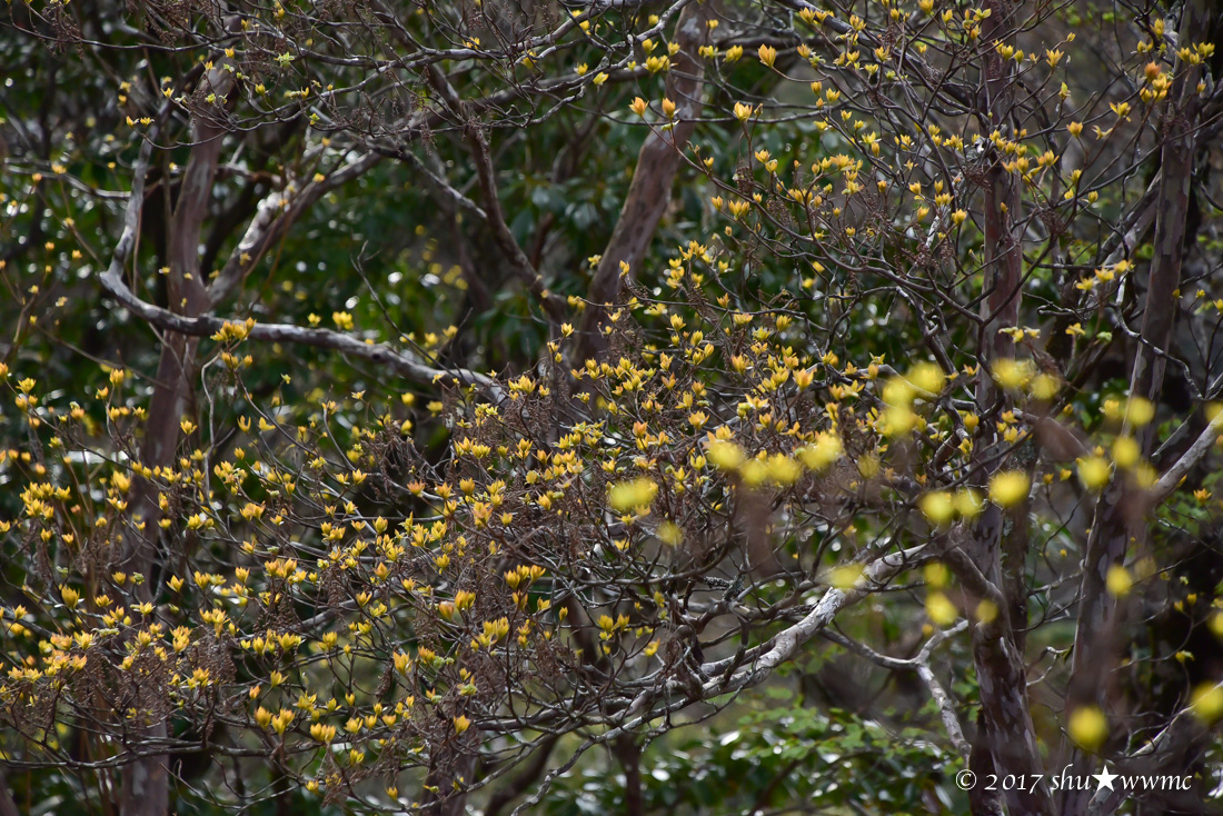 a0142976_17483467.jpg