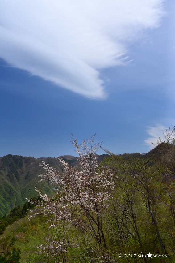 a0142976_17494764.jpg