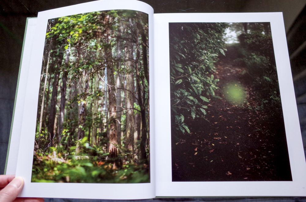 The May Sun / Terri Weifenbach 1000部限定 The May Sun / Terri Weifenbach 1000部限定