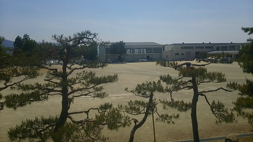 e0020682_1842475.jpg