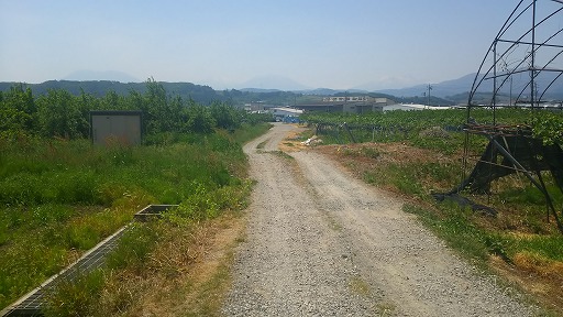 e0020682_18485321.jpg