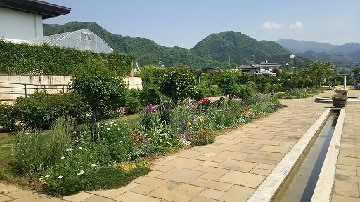 e0020682_1922071.jpg