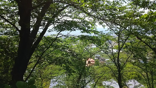 e0020682_19331098.jpg