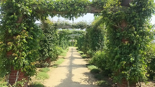 e0020682_193911.jpg